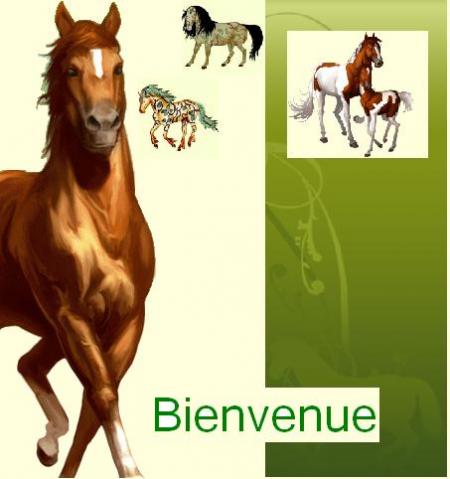 Bienvenue sur ce blog !!!